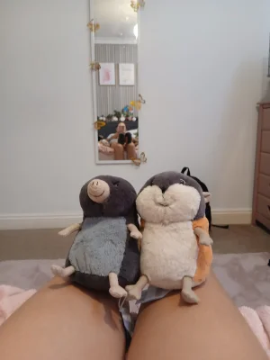 Muswell Mole Jellycat photo