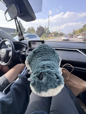 Allexi Alligator Jellycat photo