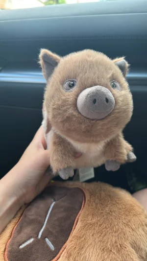 Swinley Boar JellyCat | Jelly Journal | Jelly Journal