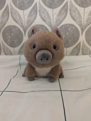 Swinley Boar Jellycat photo