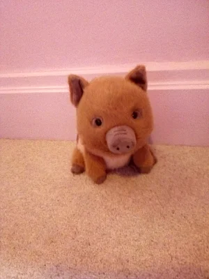 Swinley Boar Jellycat | Jelly Journal