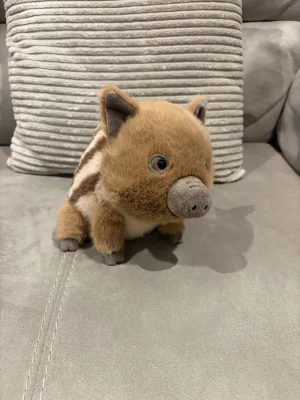 Swinley Boar Jellycat | Jelly Journal