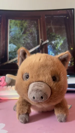 ジェリーキャット イノシシ Swinley Boar Swinley Boar - Official Jellycat