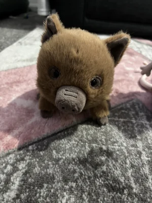 Swinley Boar Jellycat photo uploaded by Liv_xx12