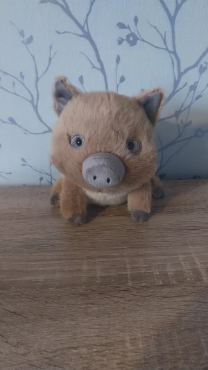 ジェリーキャット イノシシ Swinley Boar S14783.jpg