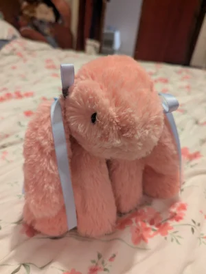 A photo of Smudge Apricot Rabbit Jellycat taken by Coco_5