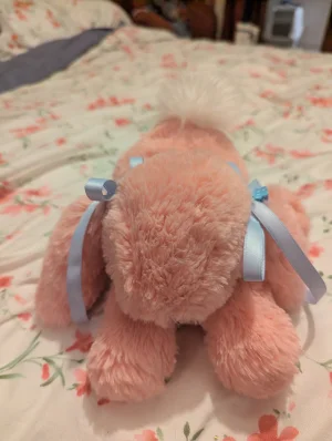 A photo of Smudge Apricot Rabbit Jellycat taken by Coco_5