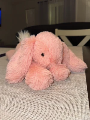 A photo of Smudge Apricot Rabbit Jellycat taken by sophiedonovann