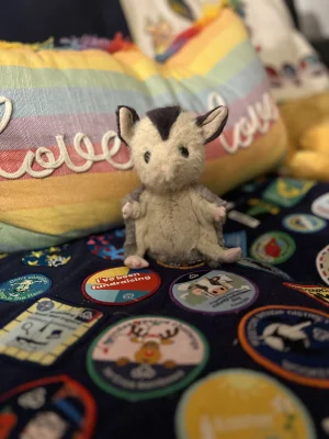 Lolly Sugar Glider Jellycat | Jelly Journal