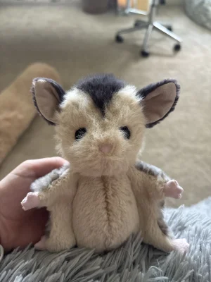 Lolly Sugar Glider JellyCat | Jelly Journal | Jelly Journal