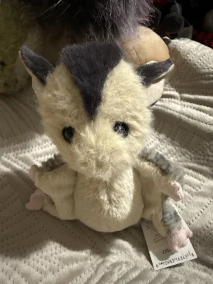 Lolly Sugar Glider Jellycat | Jelly Journal