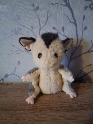 Lolly Sugar Glider Jellycat photo uploaded by Hope_Collectablez