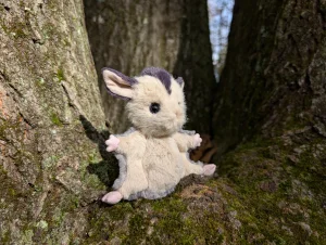 Lolly Sugar Glider Jellycat | Jelly Journal
