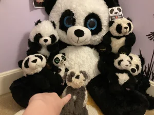 Photo by Panda_Jellycat