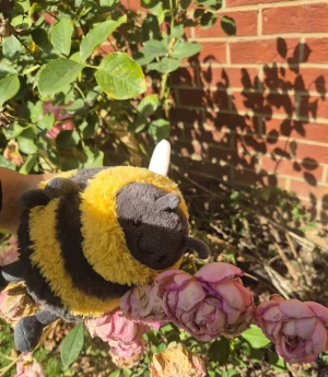 Albee Bee Jellycat | Jelly Journal