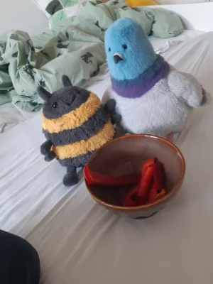 Albee Bee Jellycat photo
