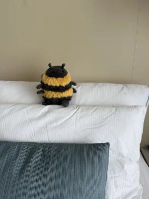 Albee Bee Jellycat | Jelly Journal