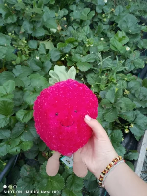 Amuseables Strawberry Jellycat photo