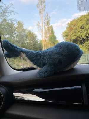 Wally Whale - Medium Jellycat photo